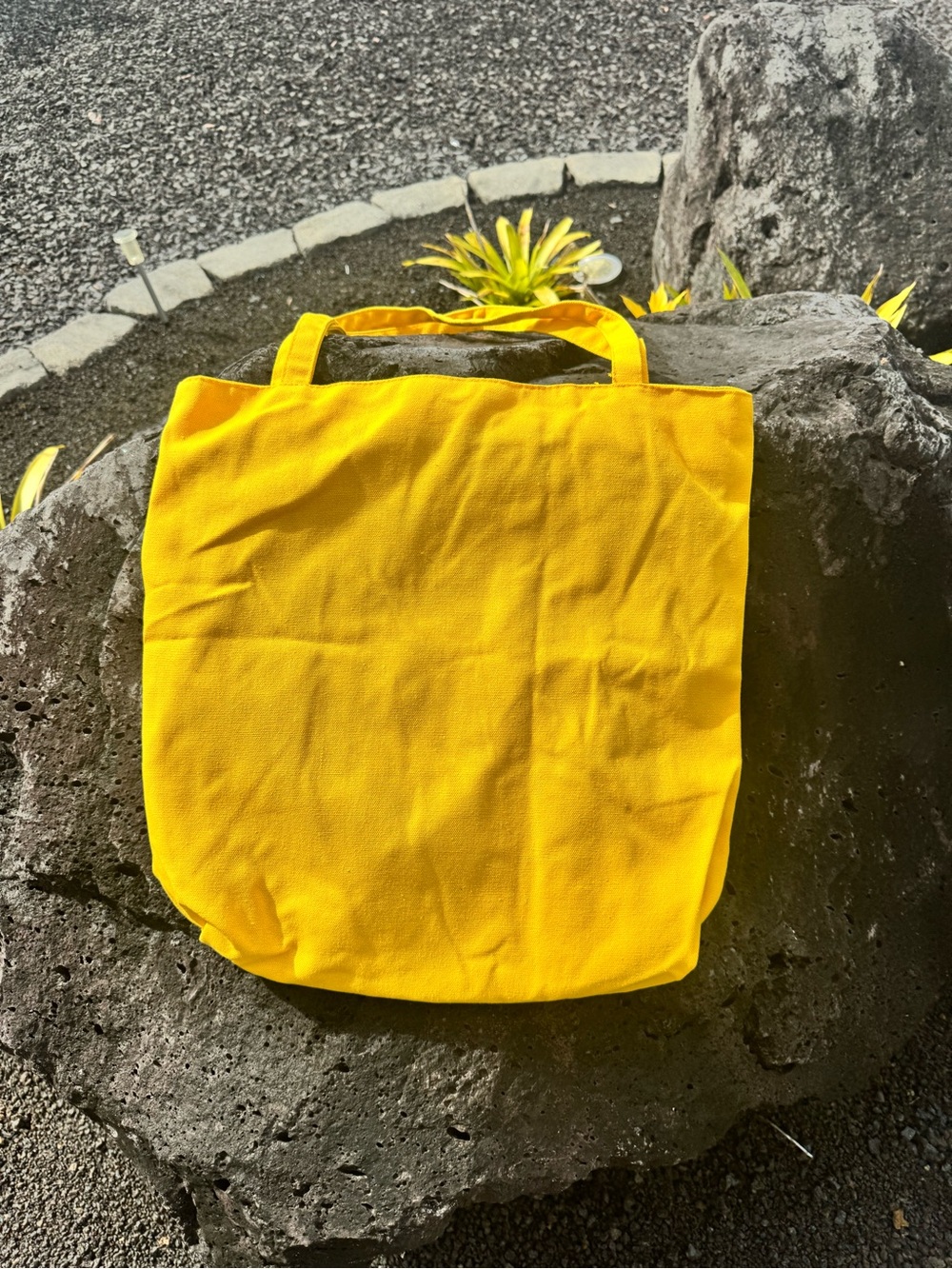 Yellow Teddy Bear Bee Pet Carrier Tote Bag for Small Dog/Cat - Picture 10 of 10